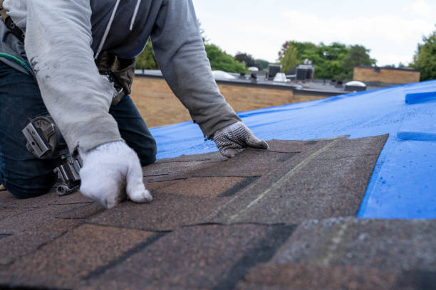 Best Storm Damage Roof Repair  in Flemingsburg, KY