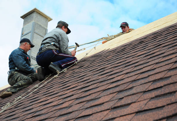 Best Roof Gutter Cleaning  in Flemingsburg, KY